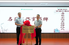 新疆长安中医脑病医院举办罗建江名医工作室揭牌仪式